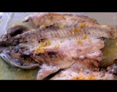 Descubre el auténtico sabor del Cherne a la espalda en Las Palmas: la deliciosa gastronomía canaria