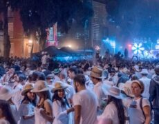 Descubre la mejor fiesta en la Calle Obispo Codina de Las Palmas: ¡Una experiencia imperdible!