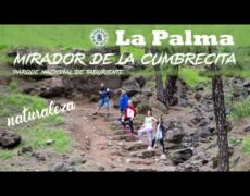 Descubre la belleza natural de Las Palmas: turismo de senderismo en el Parque Natural