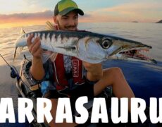 Descubre la belleza de Las Palmas en kayak: La mejor opción para un viaje turístico