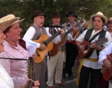 Descubre la magia de la Romería de San Lorenzo en Las Palmas: un viaje inolvidable de turismo religioso
