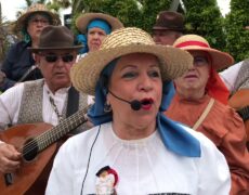 Descubre la auténtica música tradicional en la Romería de Las Palmas: un viaje imprescindible para los amantes del turismo cultural