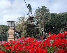 Descubre el encanto de Parque Doramas: un imprescindible en tu viaje a Las Palmas