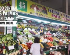 Descubre la magia del turismo en el Mercado Central de Las Palmas: ¡un viaje imperdible!