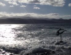 Descubre la auténtica cocina marinera en Las Palmas de Gran Canaria: el restaurante ideal para tu viaje de turismo