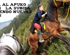 Descubre las mejores rutas a caballo en Las Palmas: una experiencia única de turismo ecuestre