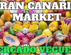 Descubre el encanto del turismo en el mercado de Vegueta, un destino imperdible en Las Palmas de Gran Canaria