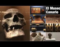 Descubre la riqueza histórica de Las Palmas: Visita el Museo Canario en tu próximo viaje de turismo